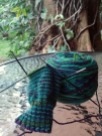 Knitting my sock next to a gigantic tree.