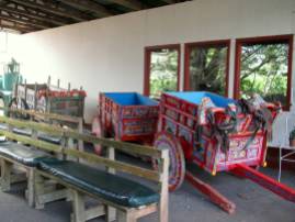 Traditional ox-drawn coffee carts