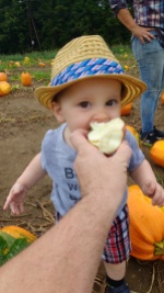 First apple picking.